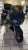 FJR1300A - Bild 2