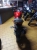 CB125FA - Bild 2